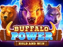 Buffalo Power Hold and Win game cover